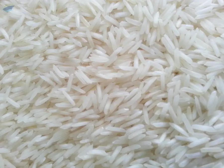 Pusa Basmati Rice