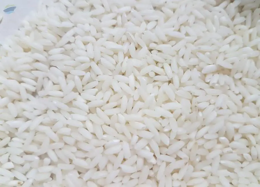 Sona Masoori Rice