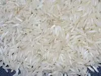 PR-11, PR14, PR47, PR8 Non Basmati Rice
