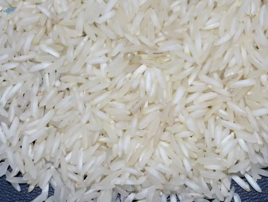 PR-11, PR14, PR47, PR8 Non Basmati Rice