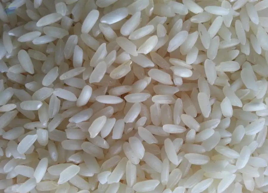 Swarna Raw Rice