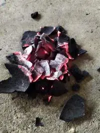 Coconut Shell Charcoal