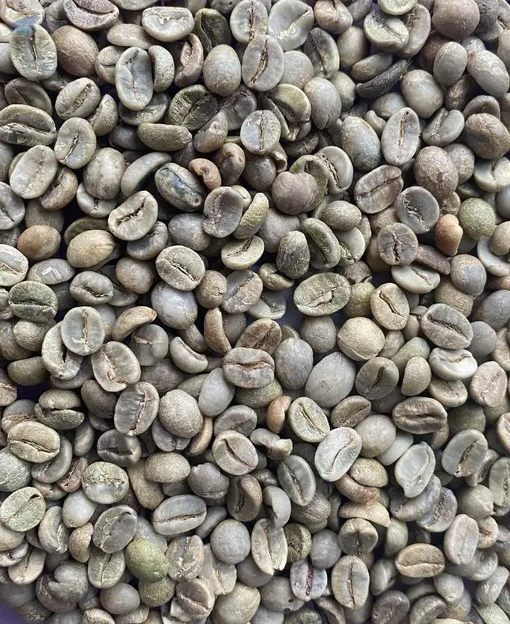 Arabica Da Lat