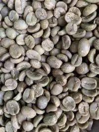 Arabica Lam Ha