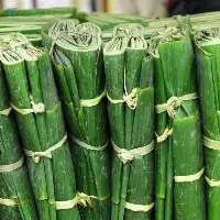Fresh Banana Leaf