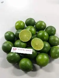 Fresh Seedless Lime Vietnam 