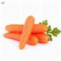 Fresh Carrot