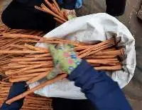 Stick Cinnamon