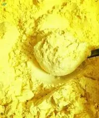 Turmeric Starch