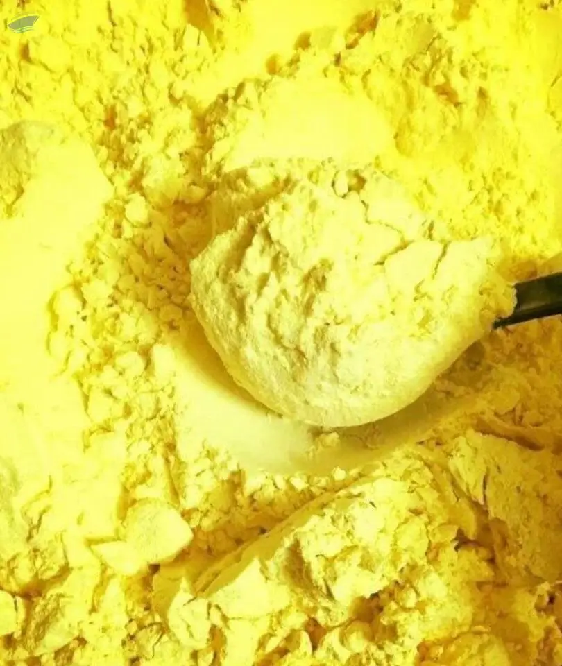 Turmeric Starch