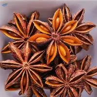 Autumn Star Anise