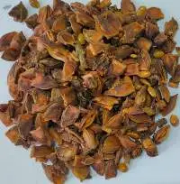 Broken Star Anise
