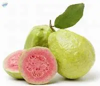 Fresh Guava