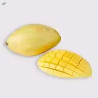 Acacia Mango