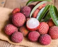 Lychee