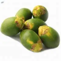 Fresh Betel Nuts