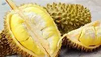 Fresh Durian