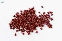 Red cashew