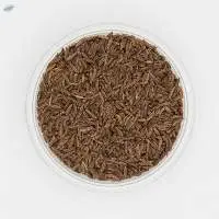 Caraway seed whole
