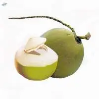 Fresh Coconut