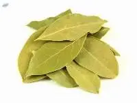 Bay Leaves