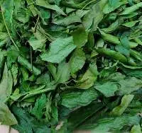 Dried Clausena Indica Leaf