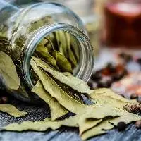 Dried Bay Leaves