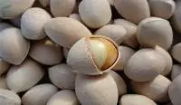 Ginkgo Nut
