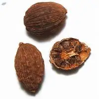 Black Cardamom
