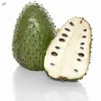 Soursop Oil