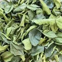 Dried Lemon Leaves