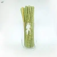 Eco-Friendly Grass Straws