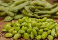 Edamame Seeds