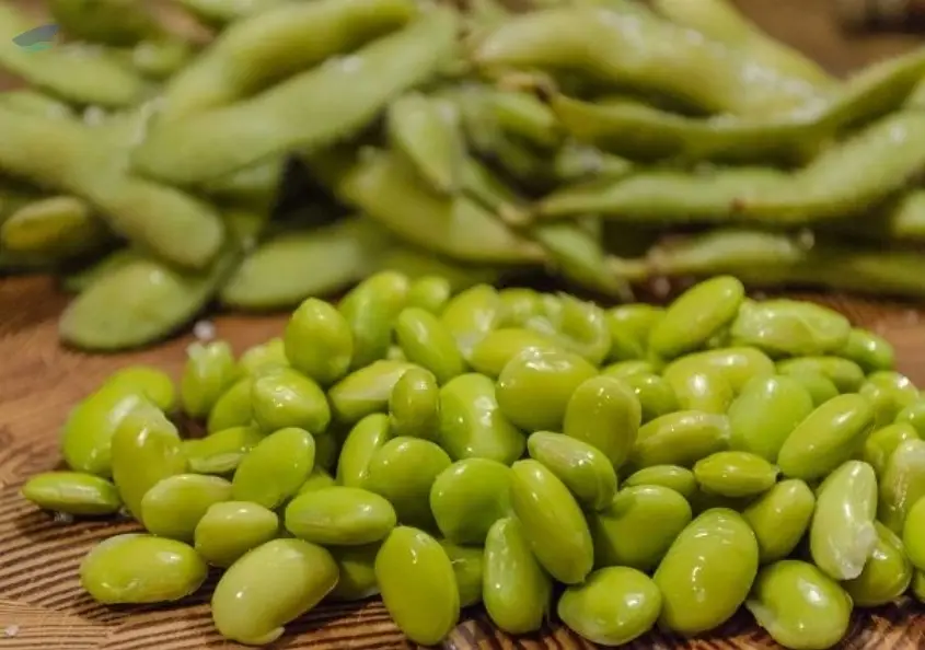 Edamame Seeds