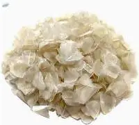 Dried Fish Scales