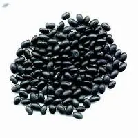 Black Beans