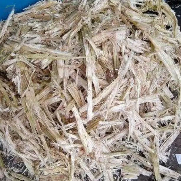 Dried sugarcane bagasse