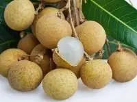 Longan