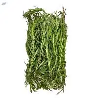 Fresh Rosemary