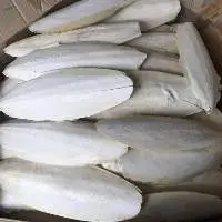 Cuttlefish Bone