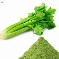 Celery powder