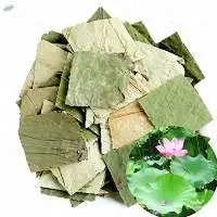 Dried lotus leaf