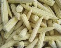 Frozen Baby Corn