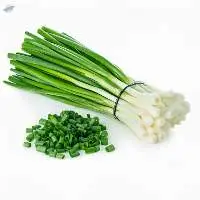 Frozen Green Onion