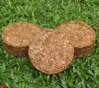 Coco peat disc