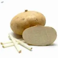 Yam bean