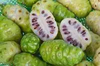 Fresh Noni Fruit
