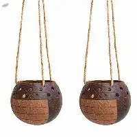 Coconut Shell Plant Pot