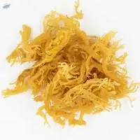 Dried Sea Moss