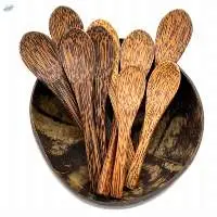 Coconut Spoon